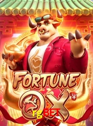 RGBET.COM